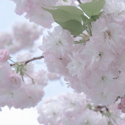 Furry绘画动态表现兽圈社群